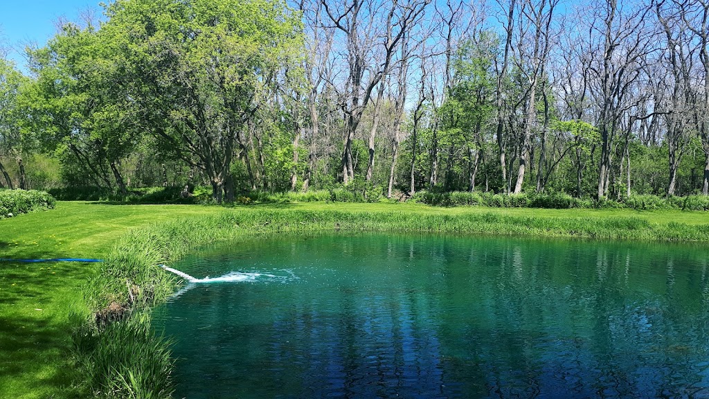 Willow Creek Gardens | 292162 Culloden Line, Brownsville, ON N0L 1C0, Canada | Phone: (226) 374-4646