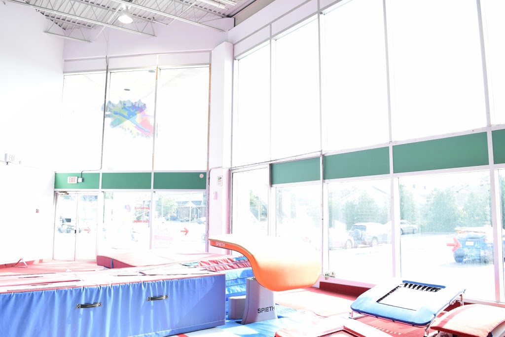 TRYumph Gymnastics Academy | 1373 Ogilvie Rd #1, Gloucester, ON K1J 7P5, Canada | Phone: (613) 742-5066