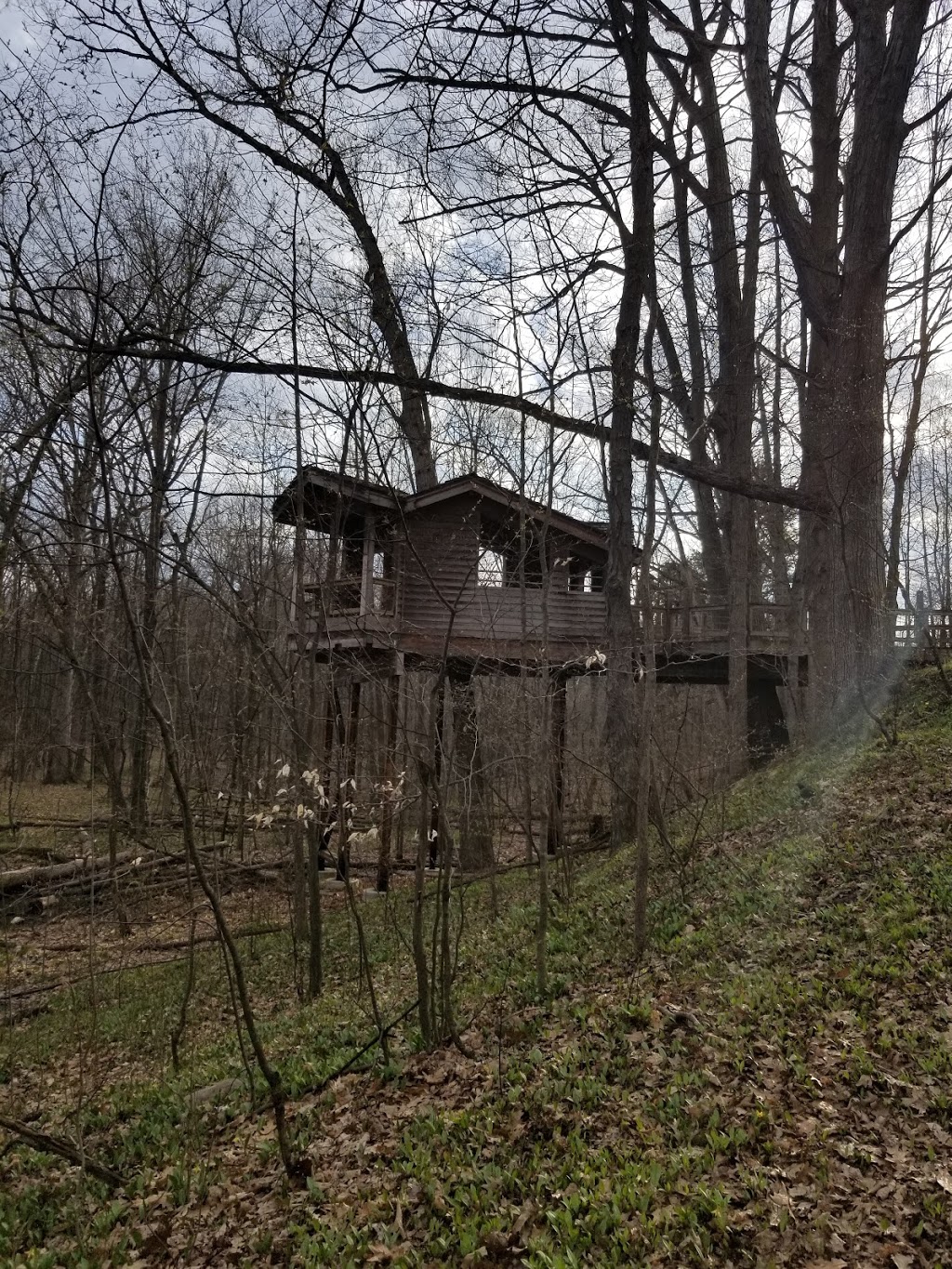 Pine River Nature Center | 2585 Castor Rd, Goodells, MI 48027, USA | Phone: (810) 364-5477