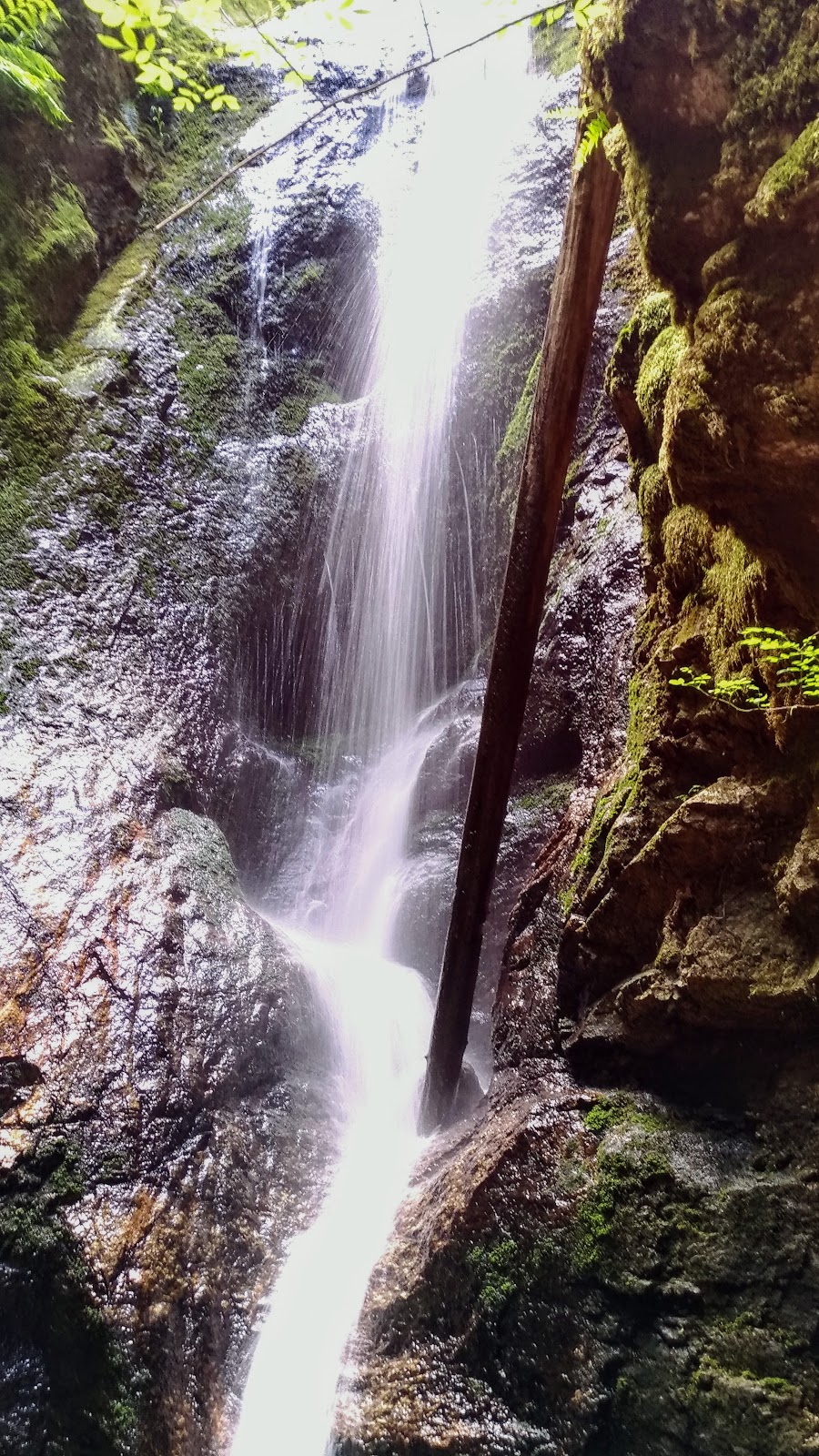 Burnett Falls Park | 5332 Burnett Rd, Sechelt, BC V0N 3A4, Canada