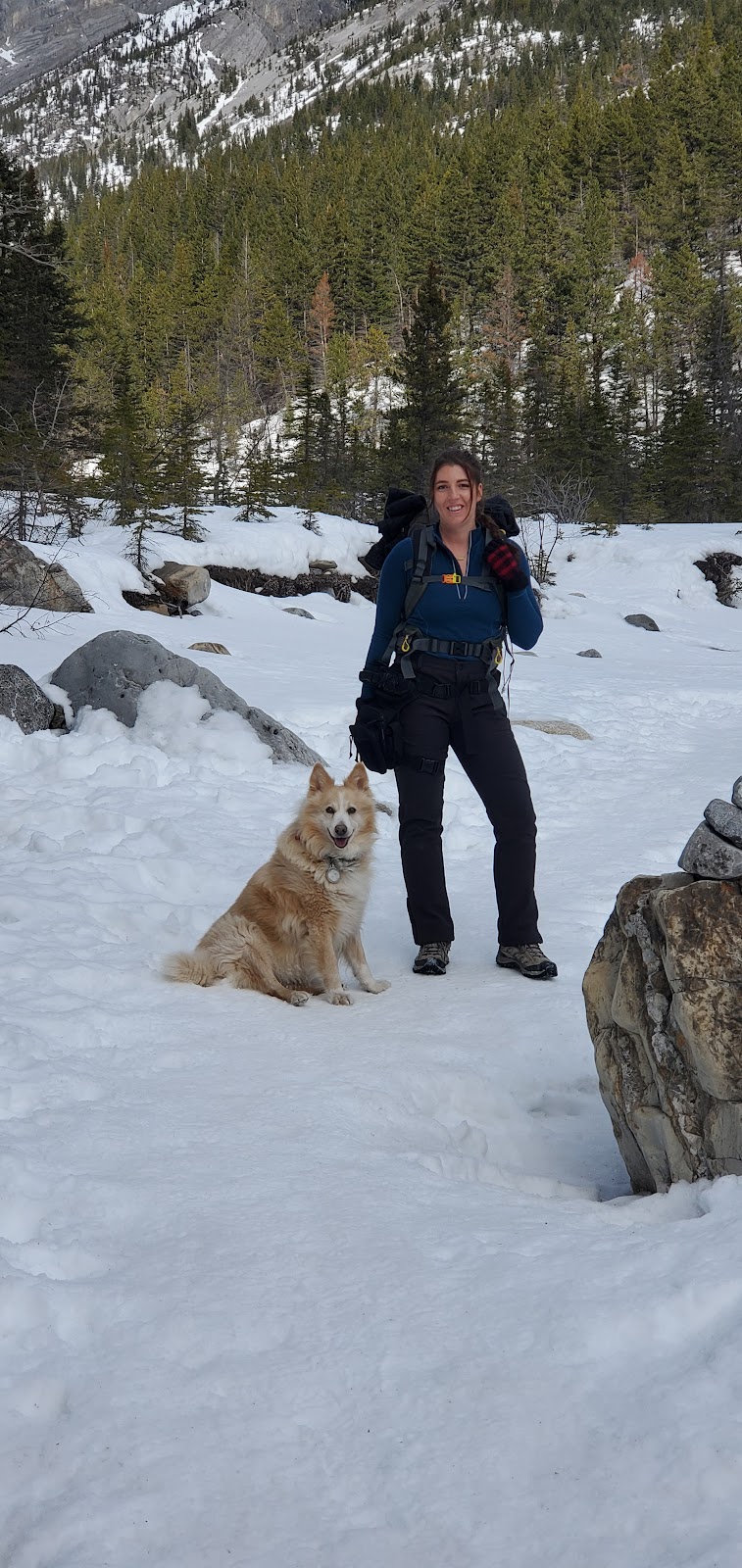 Cache Creek Veterinary Hospital | 1348 Old Cariboo Rd, Cache Creek, BC V0K 1H0, Canada | Phone: (250) 457-6203