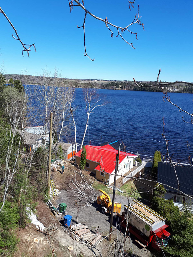 Arboriculture du fjord | 561 Delisle, Chicoutimi, QC G7G 3B7, Canada | Phone: (581) 234-4190