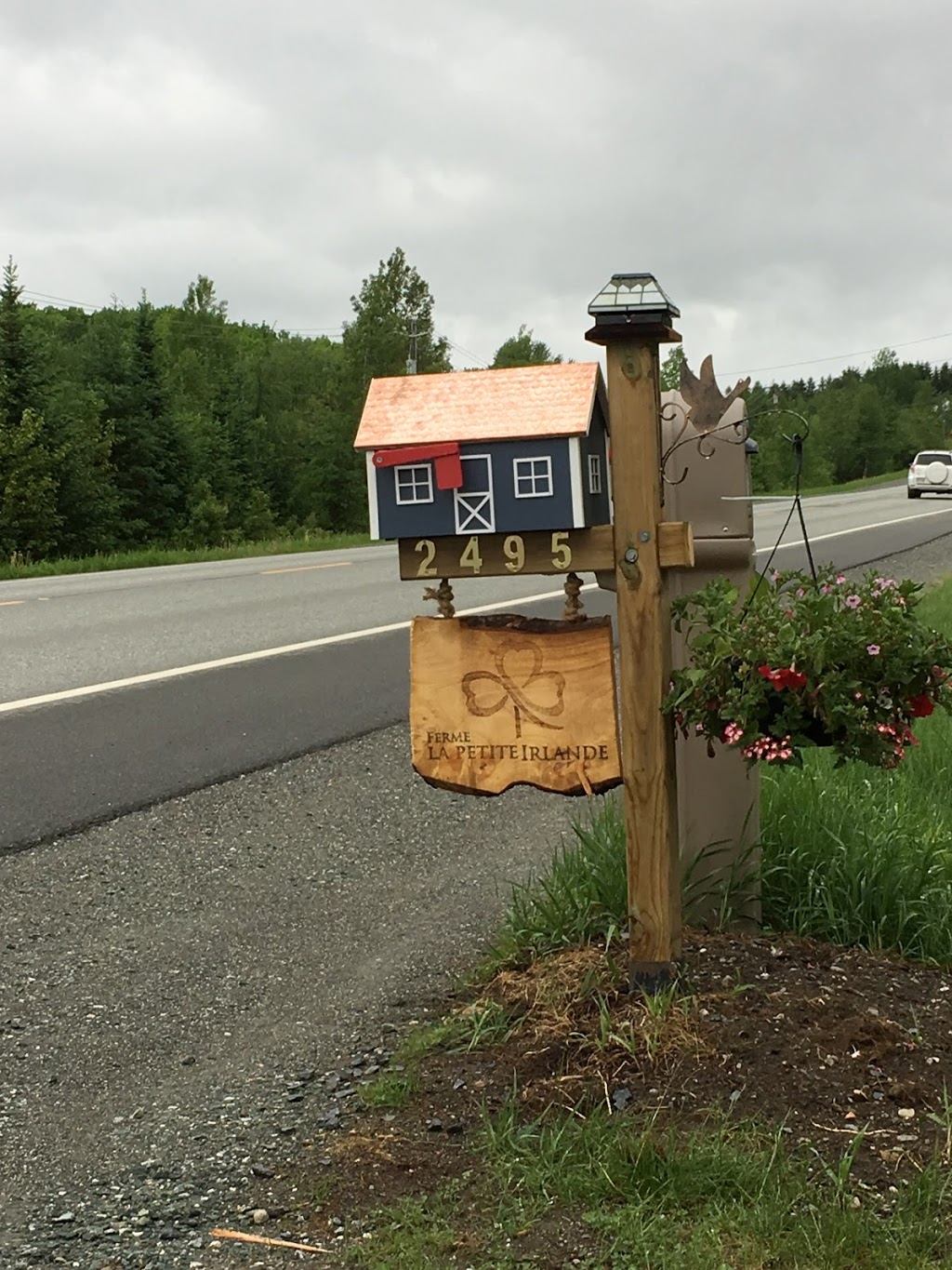 Ferme la petite Irlande | 2495 QC-222, Saint-Denis-de-Brompton, QC J0B 2P0, Canada | Phone: (819) 846-3601