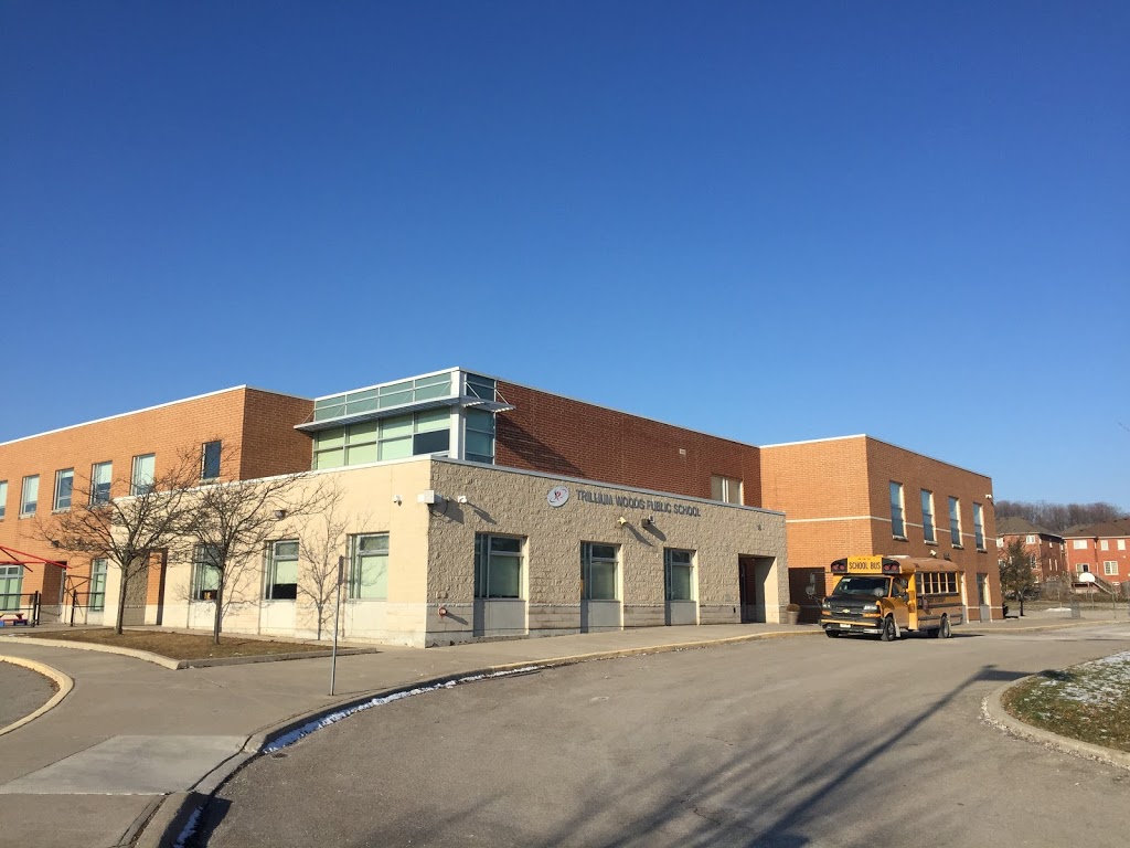 Trillium Woods Public School | 18 Alamo Heights Dr, Richmond Hill, ON L4S 2P3, Canada | Phone: (905) 508-5215