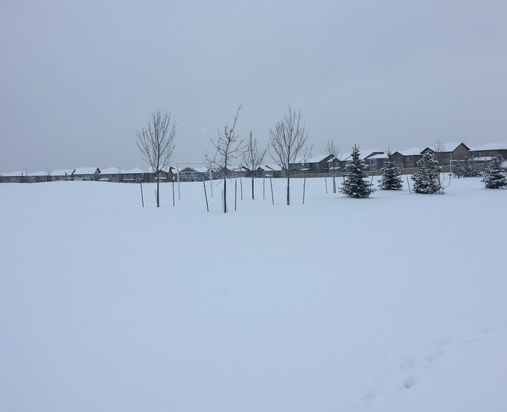 Playground | Allard, Edmonton, AB T6W 1A8, Canada