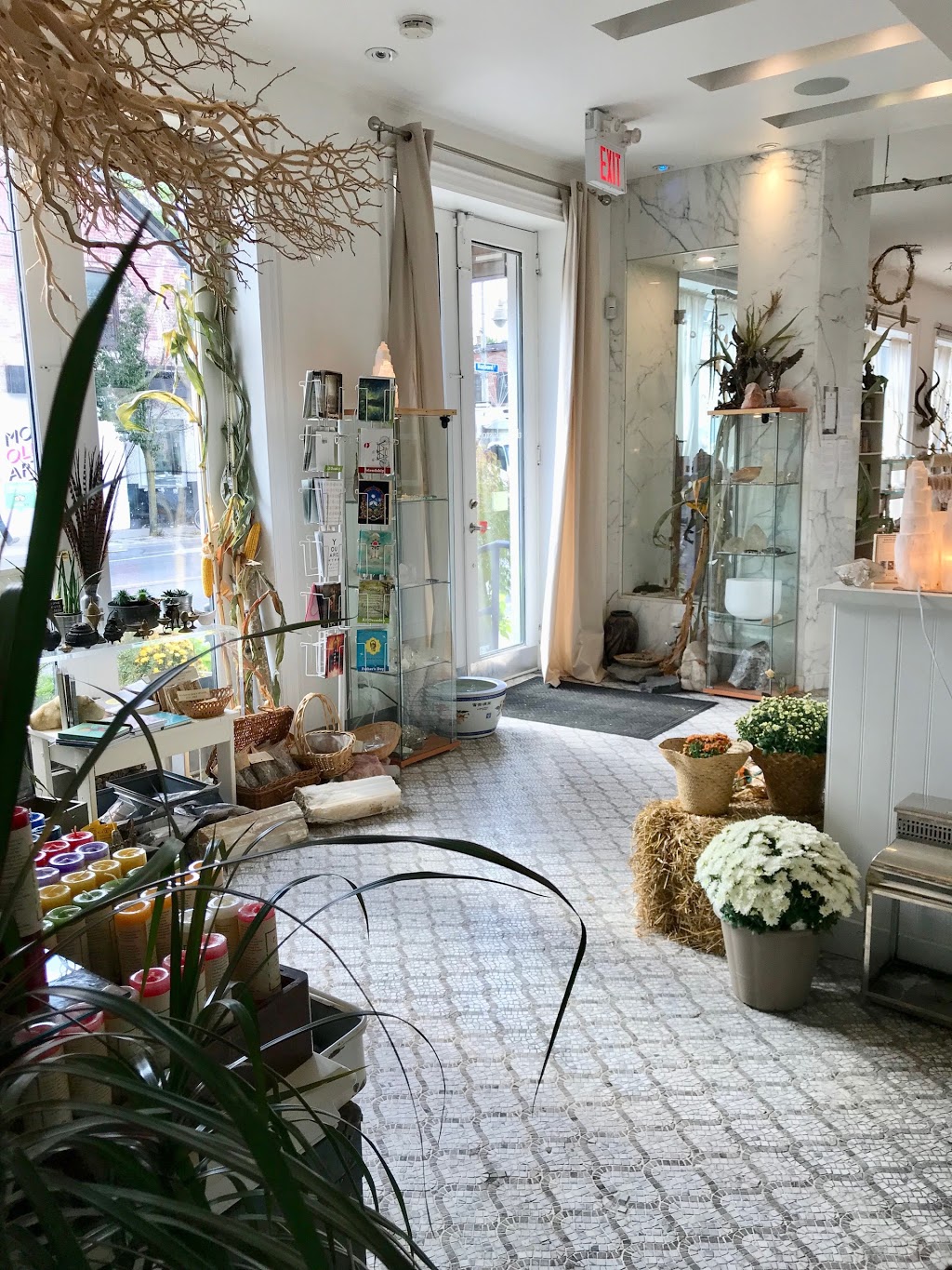 The Rock Store | 154 Harbord St, Toronto, ON M5S 1H2, Canada | Phone: (416) 516-2191