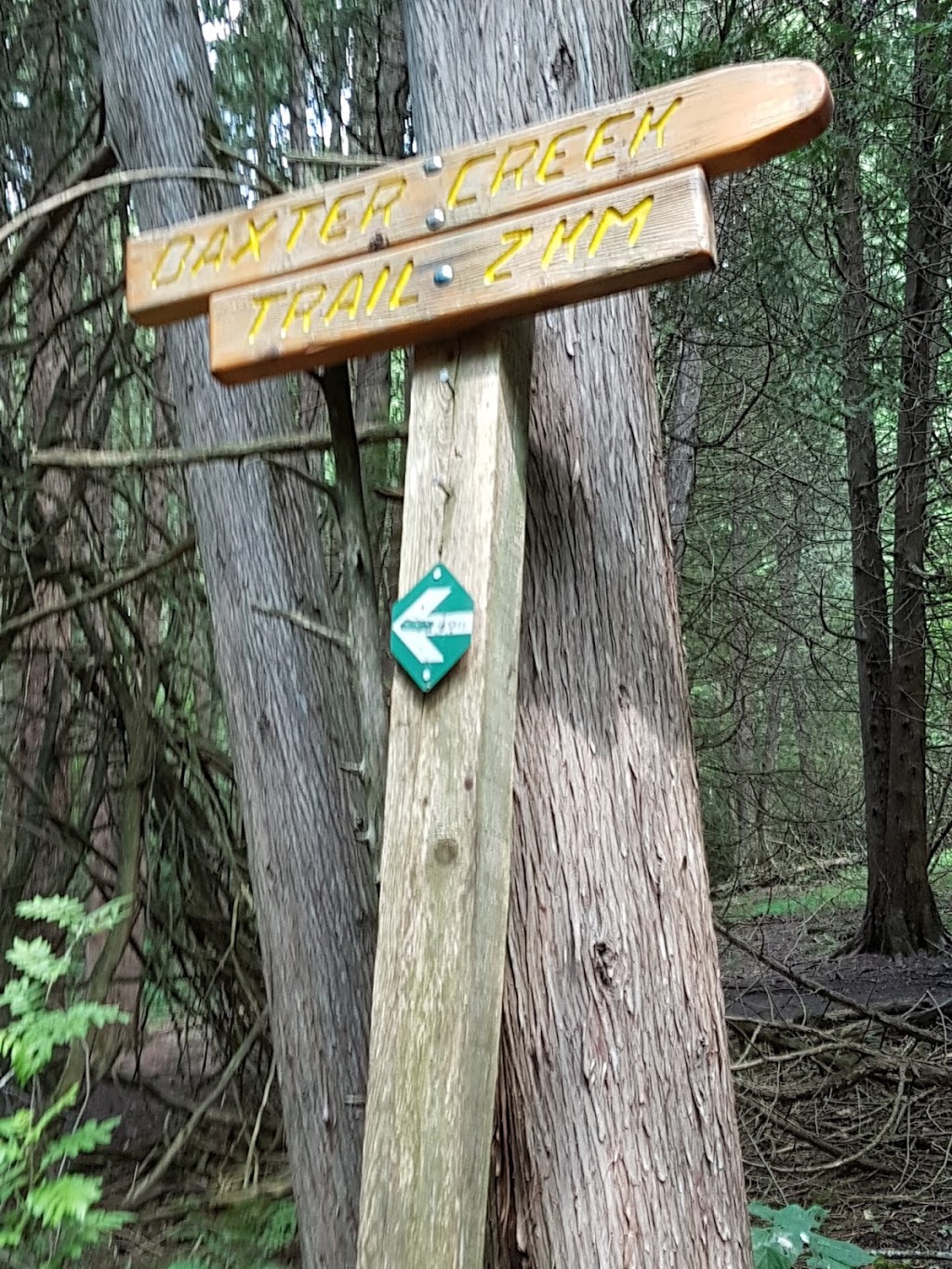 Millbrook Valley Trails | 1 Dufferin St, Millbrook, ON L0A 1G0, Canada | Phone: (705) 932-9329