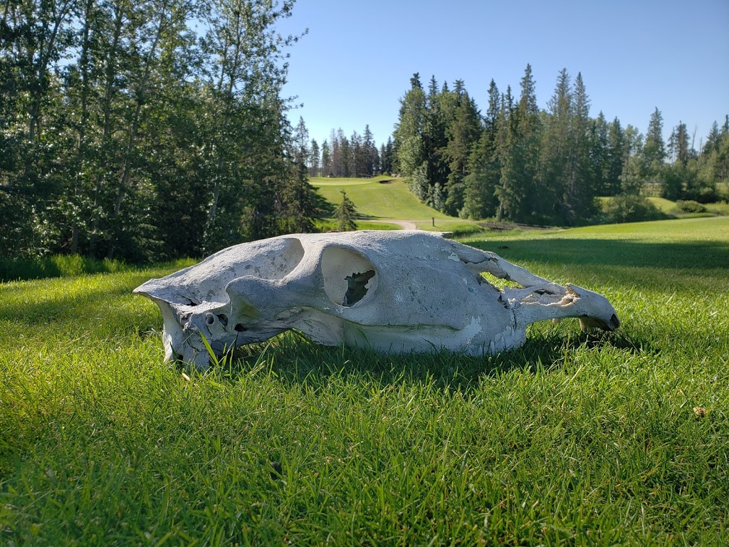 Wolf Creek Golf Resort | Site 10, Ponoka, AB T4J 1R3, Canada | Phone: (866) 783-6050