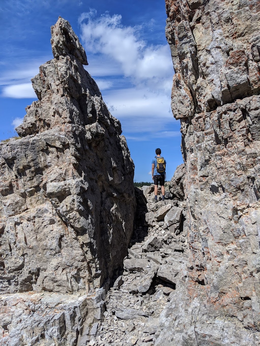 Coliseum Mountain Staging Area | Clearwater County, AB T0M 2H0, Canada | Phone: 310-0000