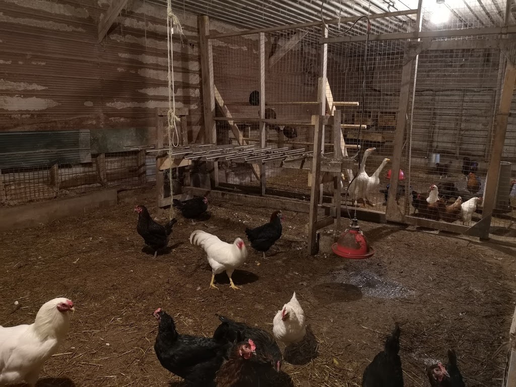 Saunders Organics Farm | Middlesex Centre, ON N0M, Canada | Phone: (519) 666-0705