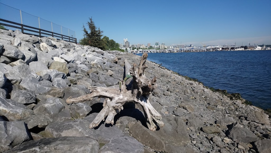 Kings Mill Walk Dog Park | 1122 Spirit Trail, North Vancouver, BC V7P 3S1, Canada