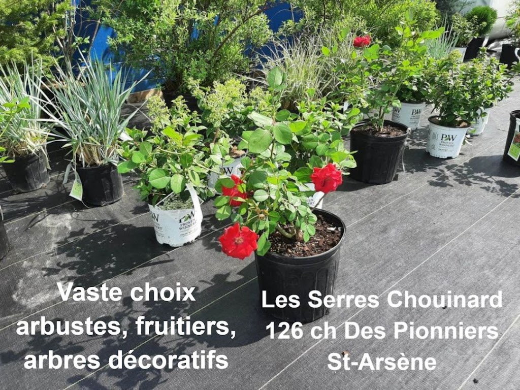 Serres Chouinard | 126 Chem. des Pionniers, Saint-Arsène, QC G0L 2K0, Canada | Phone: (418) 868-0899