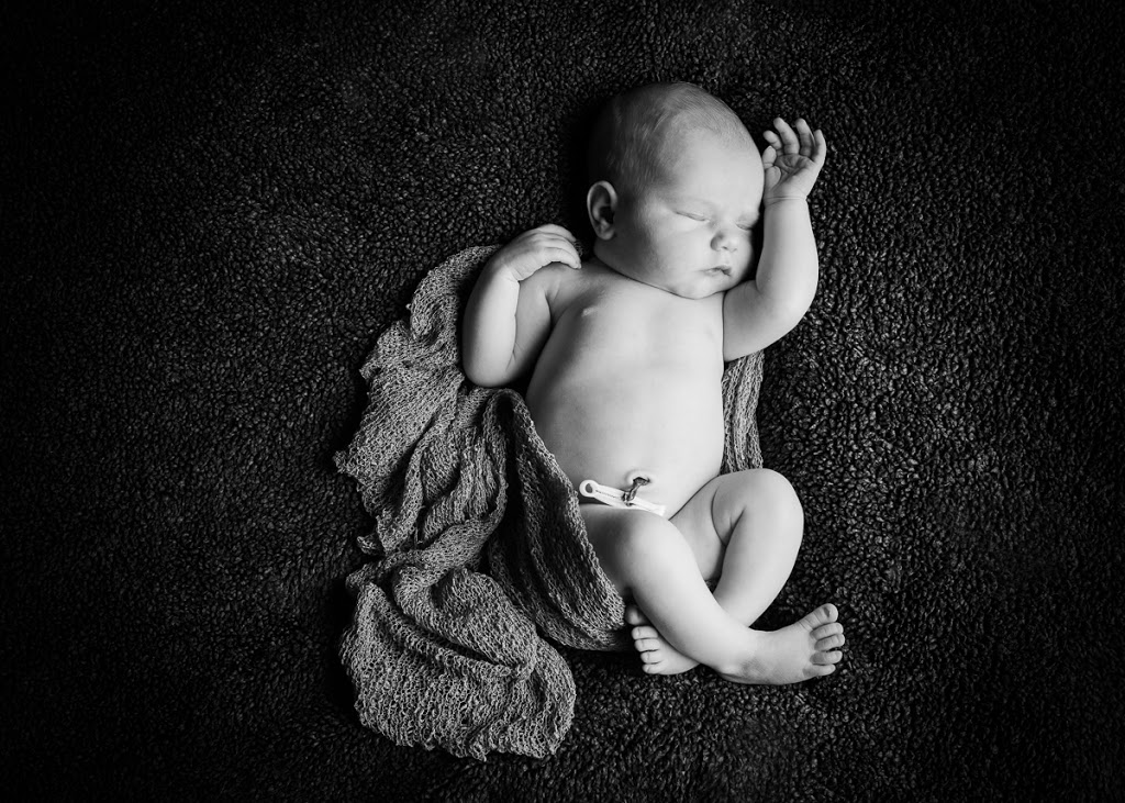 Sheila Braam Photography | 72 Finnie Ln, Elora, ON N0B 1S0, Canada | Phone: (519) 574-8594