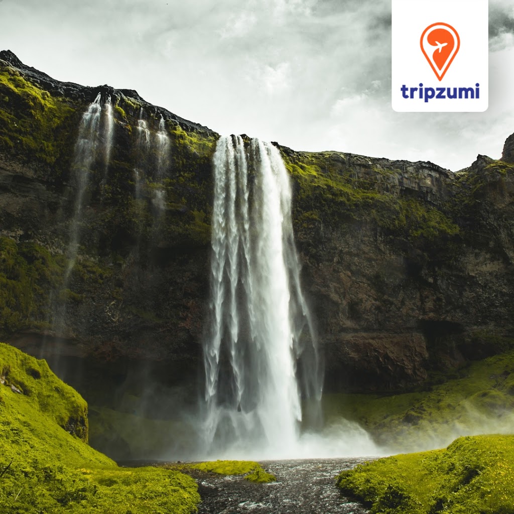 Tripzumi | 792 Kennedy Rd Suite 204, Scarborough, ON M1K 2C8, Canada | Phone: (416) 751-6000