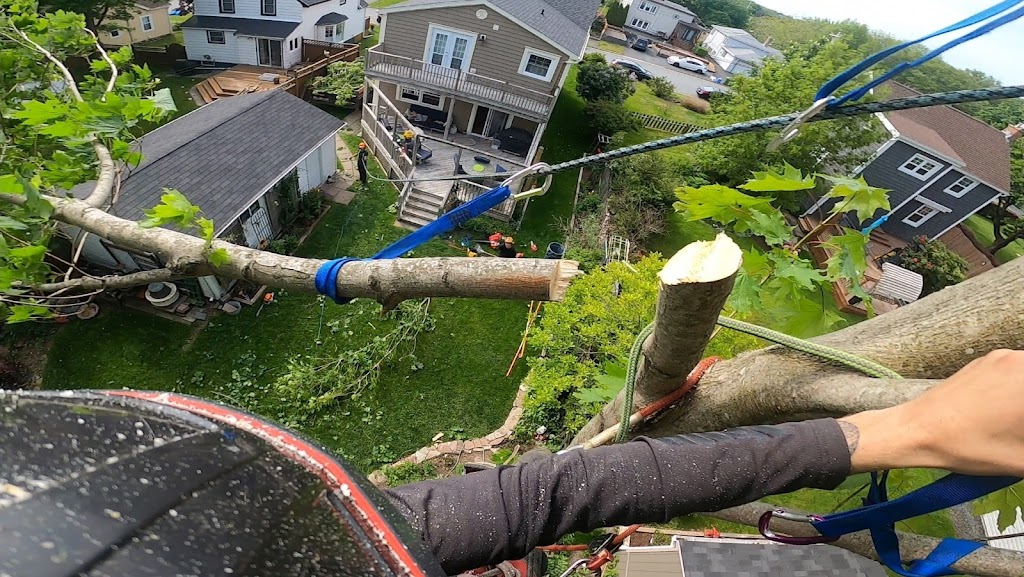 White Wolf Tree Service | 90 Wakefield Ct, Middle Sackville, NS B4E 0H1, Canada | Phone: (902) 414-6429