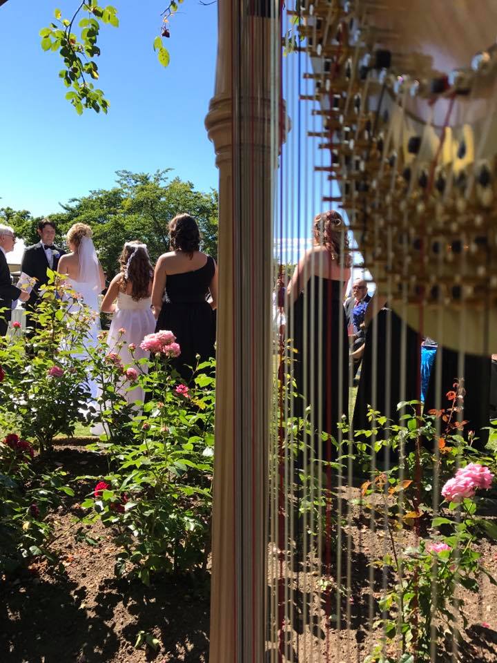 Harpist For Hire | Langley Twp, BC V2Z 1V9, Canada | Phone: (778) 571-1232