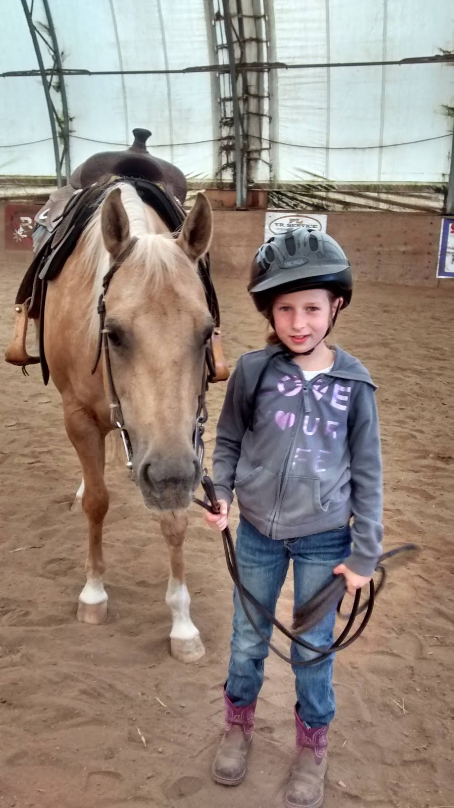 Corinne Gadras - Équitation R+ | 35 Rang Petit Fossambault, Pont-Rouge, QC G3H 2L8, Canada | Phone: (581) 984-1154