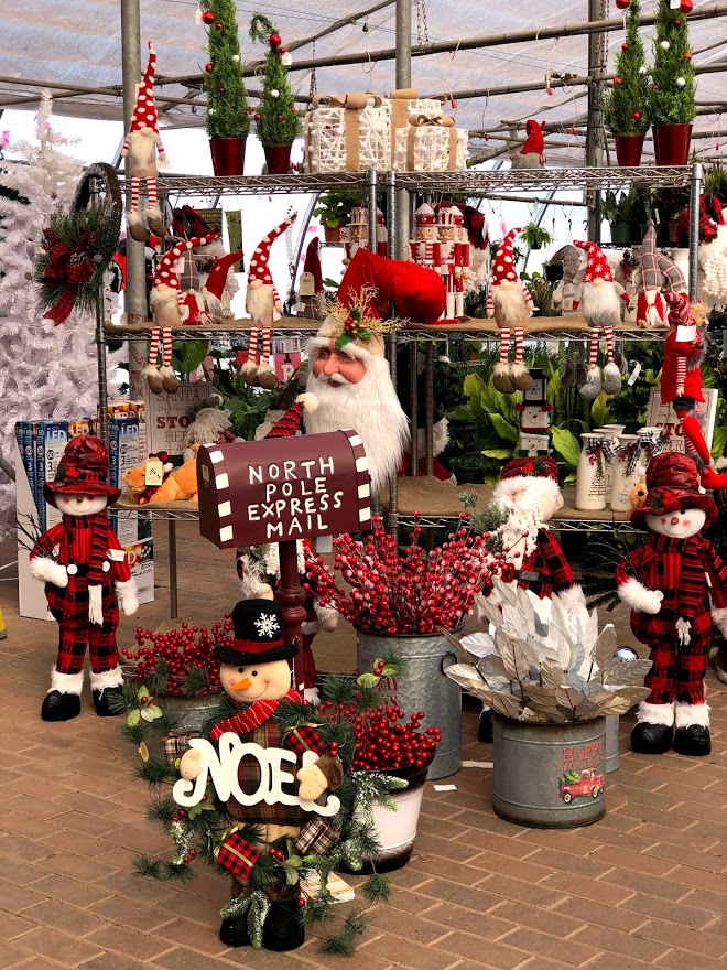 Kool Breeze Farms Garden Centre & Farm Market | 231 Read Dr, Summerside, PE C1N 5B1, Canada | Phone: (902) 436-1900