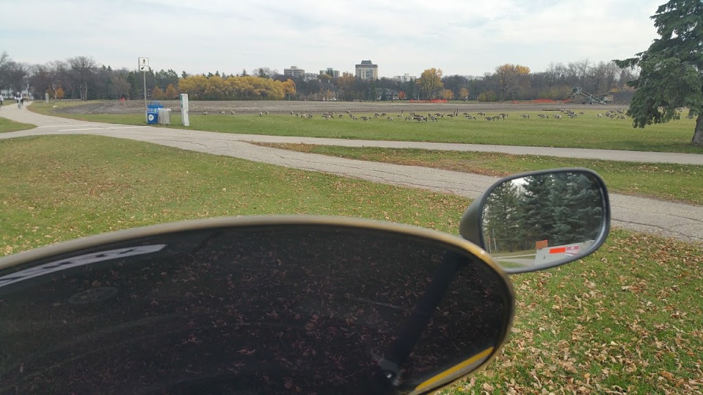 Ultimate Field: A5 | Assiniboine Park, Winnipeg, MB R3P, Canada