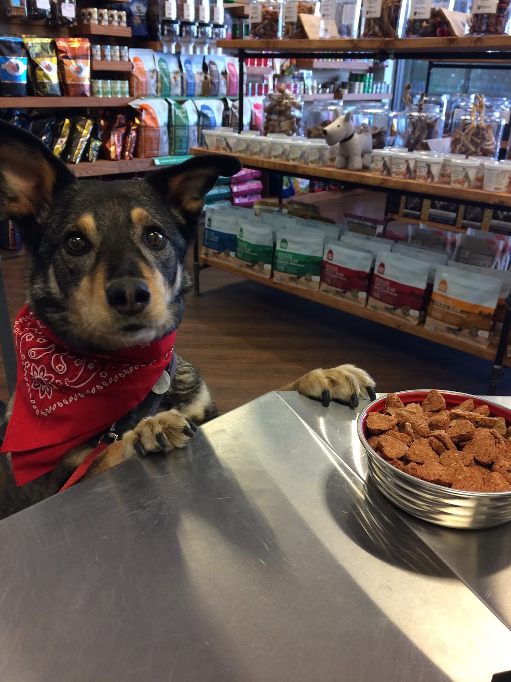 Rascals Pet Market | 7103 W Saanich Rd, Brentwood Bay, BC V8M 1R1, Canada | Phone: (778) 426-4290