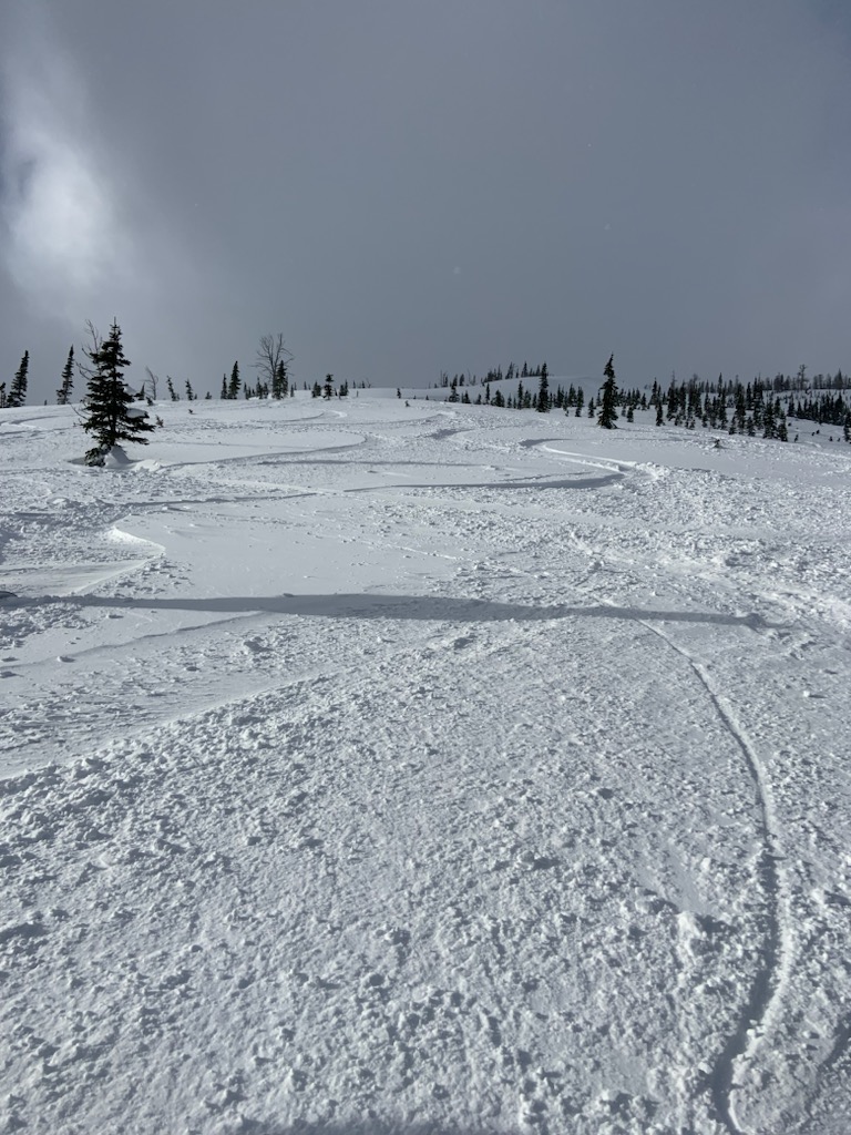Castle Mountain Ski Lodge | Box 566, Pincher Creek No. 9, AB T0K 1W0, Canada | Phone: (403) 627-5121
