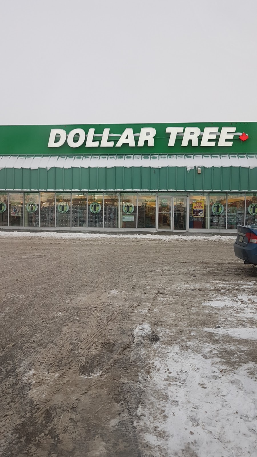 Dollar Tree | 2717 Avonhurst Dr, Regina, SK S4R 3J3, Canada | Phone: (306) 543-0033