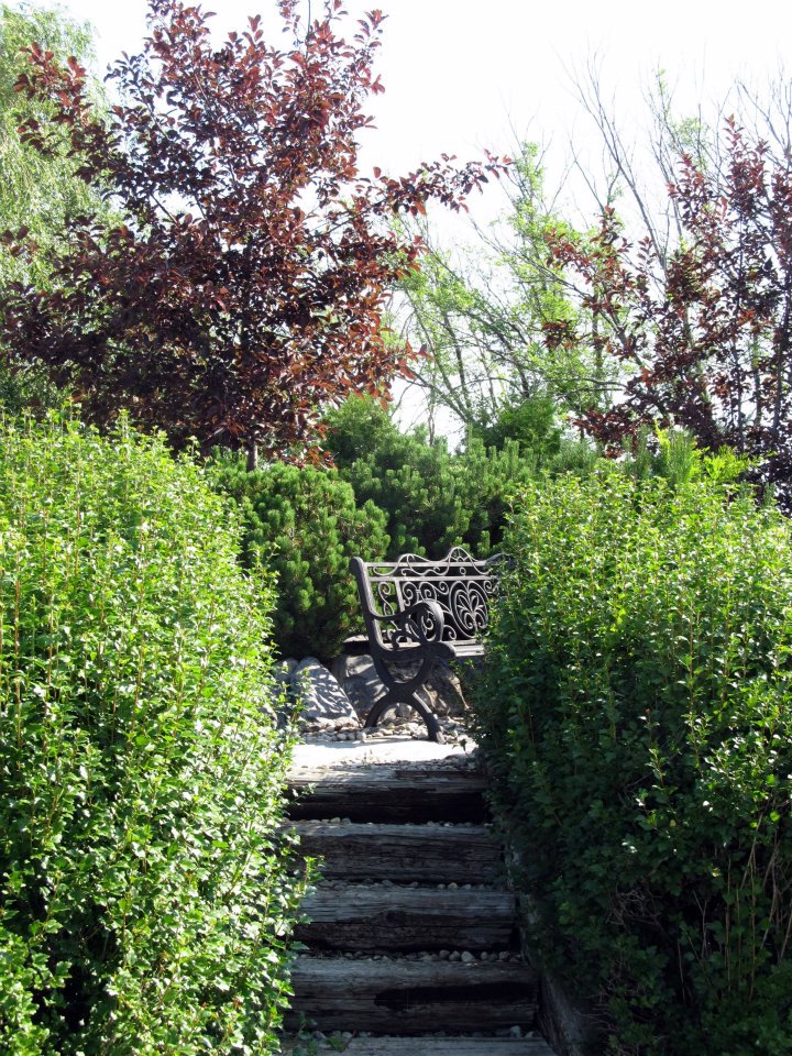 Falk Nurseries | 23062 PR 311, New Bothwell, MB R0A 1C0, Canada | Phone: (204) 388-4927