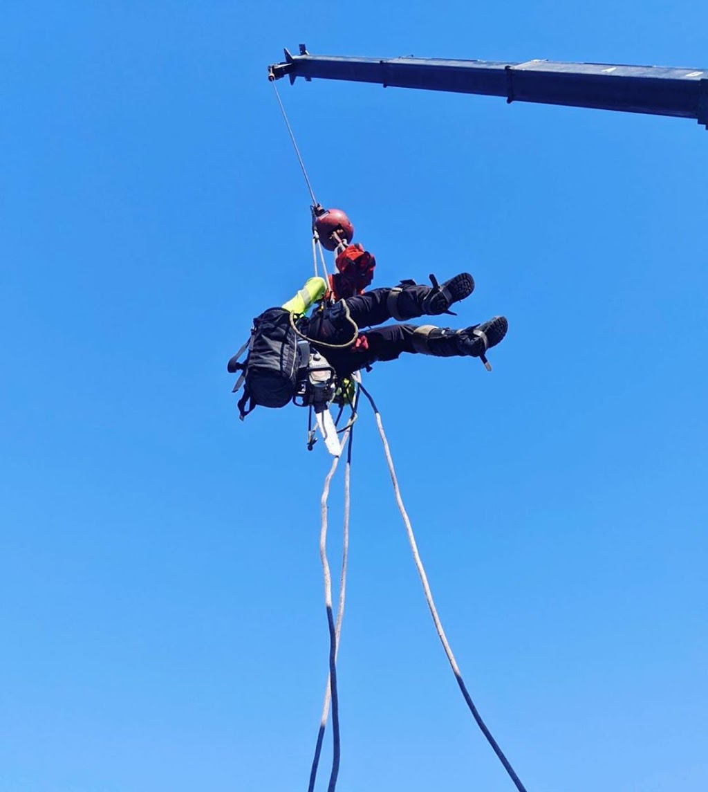 Parker Tree Care Ltd | 304 Wilson Dr, Milton, ON L9T 3K2, Canada | Phone: (905) 749-4149