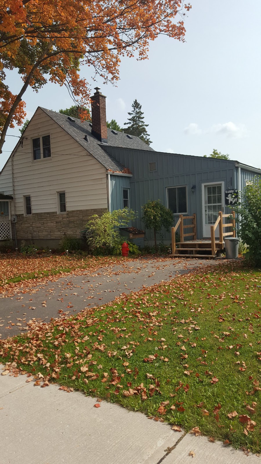 Candi Cares Professional Dog Grooming | 477 OConnell Rd, Peterborough, ON K9J 4E1, Canada | Phone: (705) 748-6063