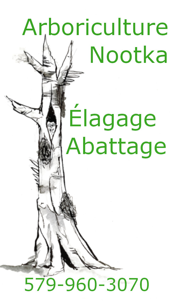 arboriculture nootka | 2815 chemin des laurentides, Sainte-Julienne, QC J0K 2T0, Canada | Phone: (579) 960-3070