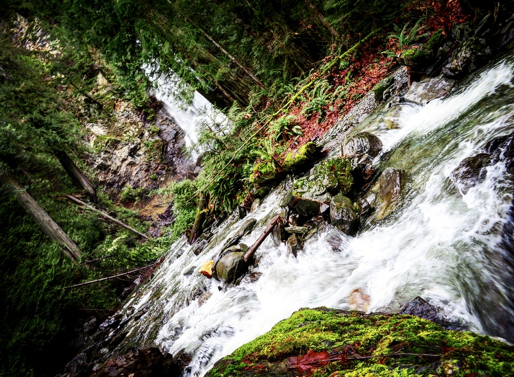 Harrison Eco Tours | 100 Esplanade, Harrison Hot Springs, BC V0M 1K0, Canada | Phone: (604) 316-4460