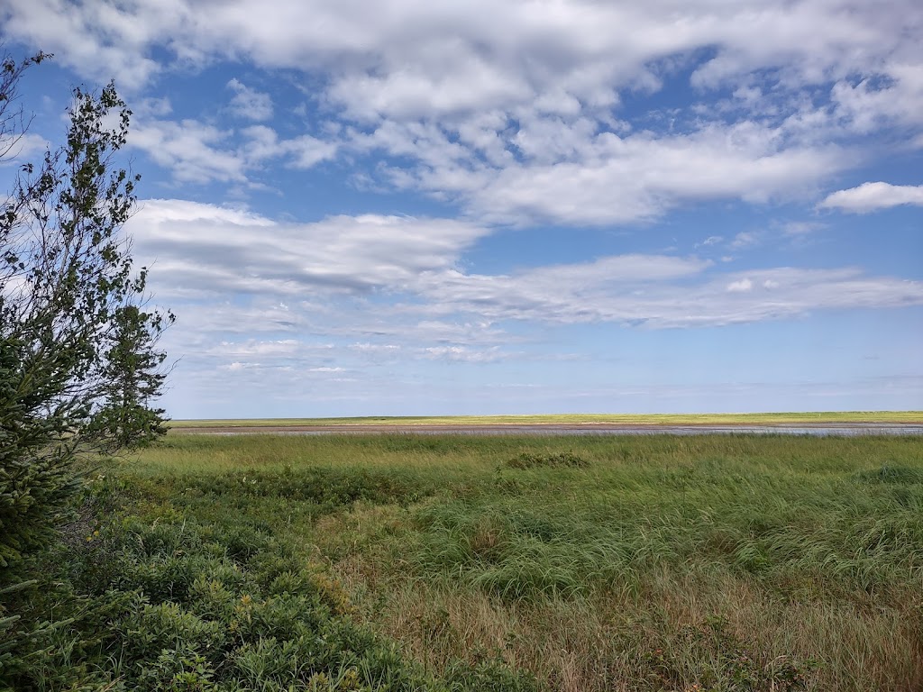 Cantine Plage Kellys Beach | Kouchibouguac National Park, Saint-Louis de Kent, NB E4X 1V2, Canada | Phone: (506) 876-4567