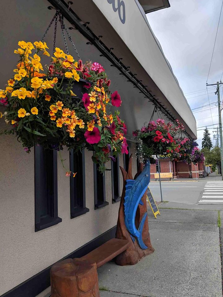 Blue Marlin Inn | 5022 Johnston Rd, Port Alberni, BC V9Y 5L7, Canada | Phone: (778) 421-3022