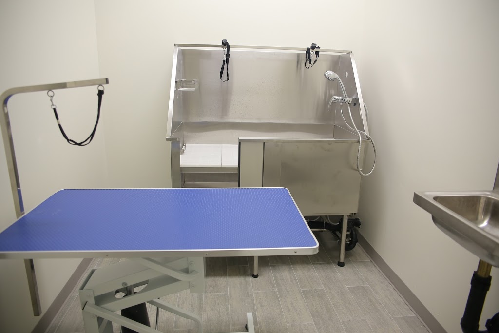 Steeles-Yonge Animal Hospital | 180 Steeles Ave W #15, Thornhill, ON L4J 2L1, Canada | Phone: (905) 597-8387