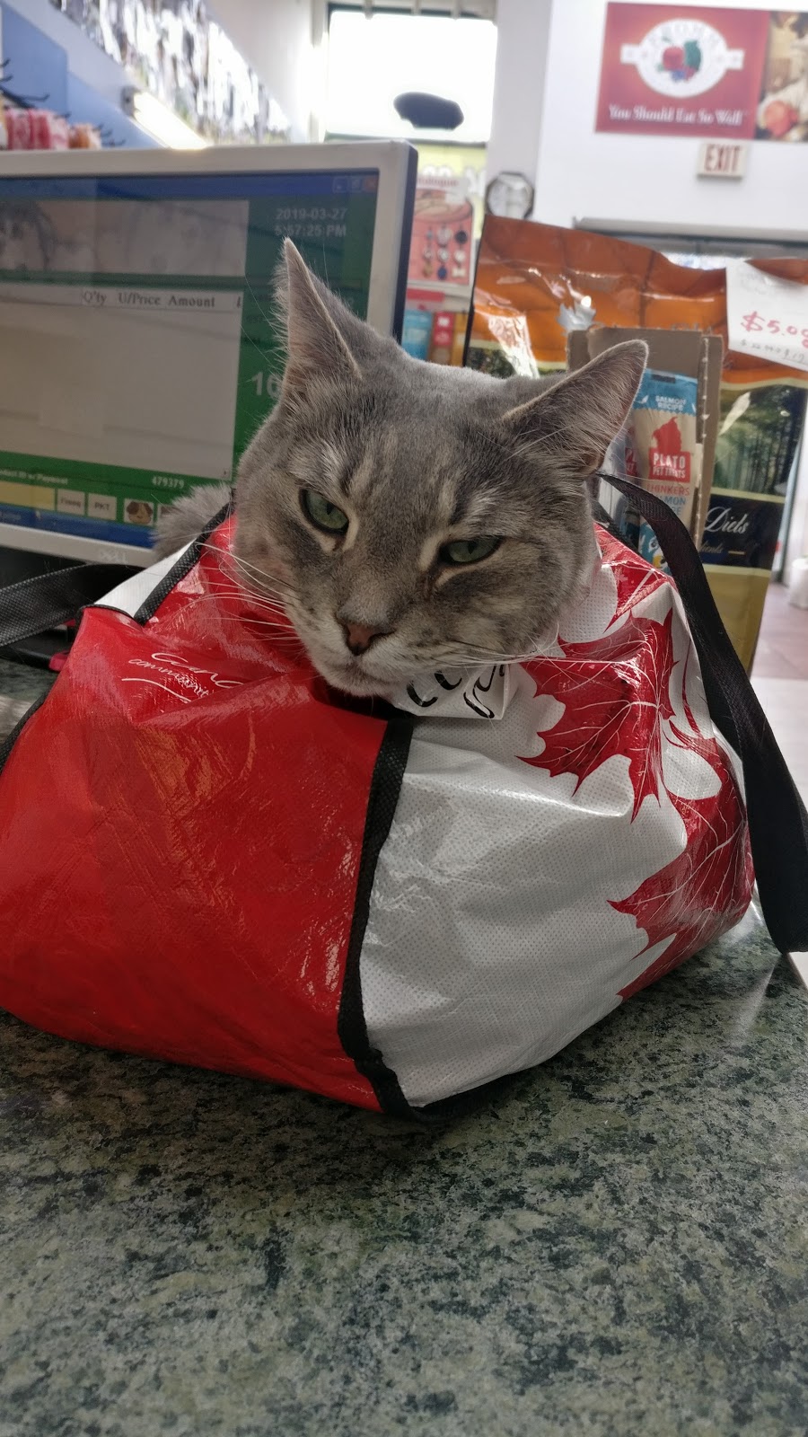 Van Pet Food, Supplies and Grooming - Burnaby | 4111 Hastings St, Burnaby, BC V5C 2J3, Canada | Phone: (604) 294-8933