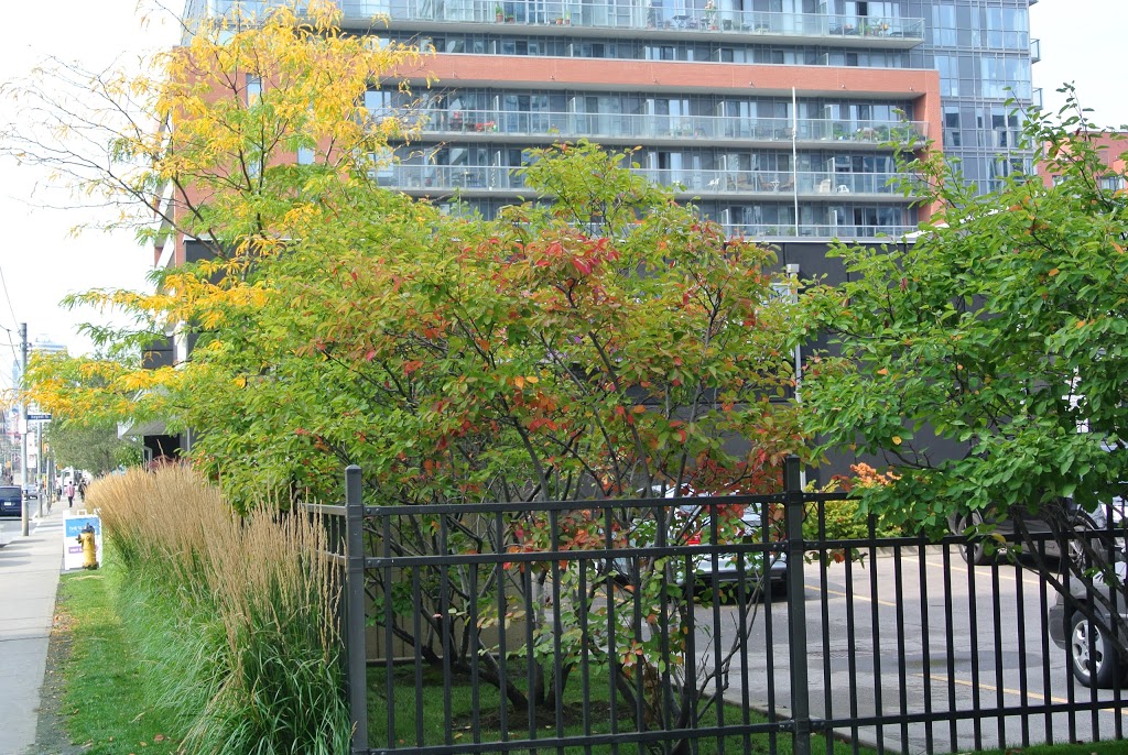 Toronto Centre of Learning & Development | 540 Dundas St E, Toronto, ON M5A 3S4, Canada | Phone: (647) 349-2244