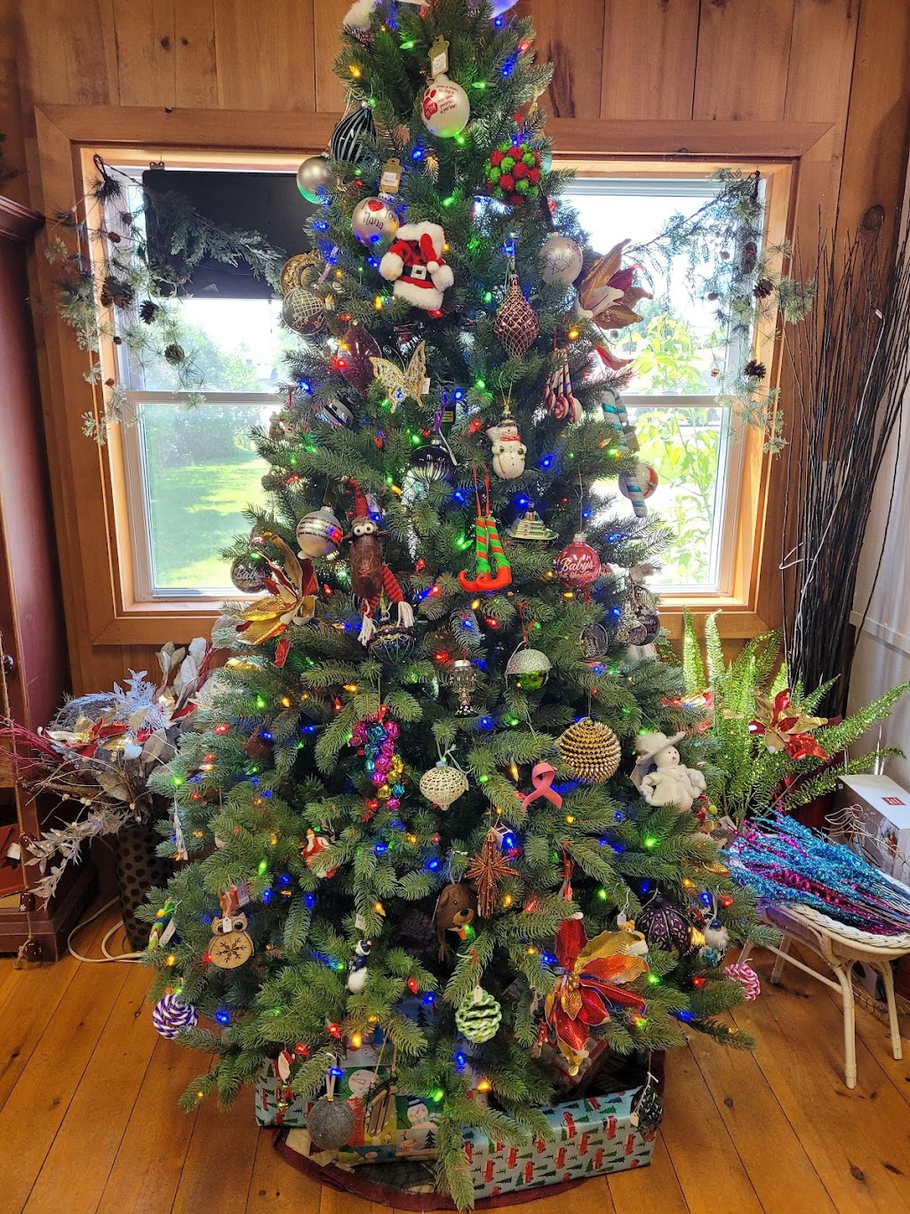 Snow N Sand | 12 Francis St W, Fenelon Falls, ON K0M 1N0, Canada | Phone: (705) 887-7000