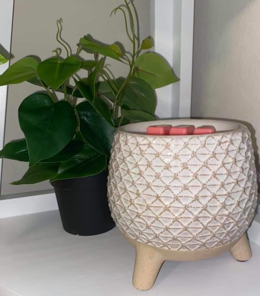 Independent Scentsy Consultant-Leanne Sigurdsson | 43770 ON-3, Wainfleet, ON L0S 1V0, Canada | Phone: (905) 741-8430