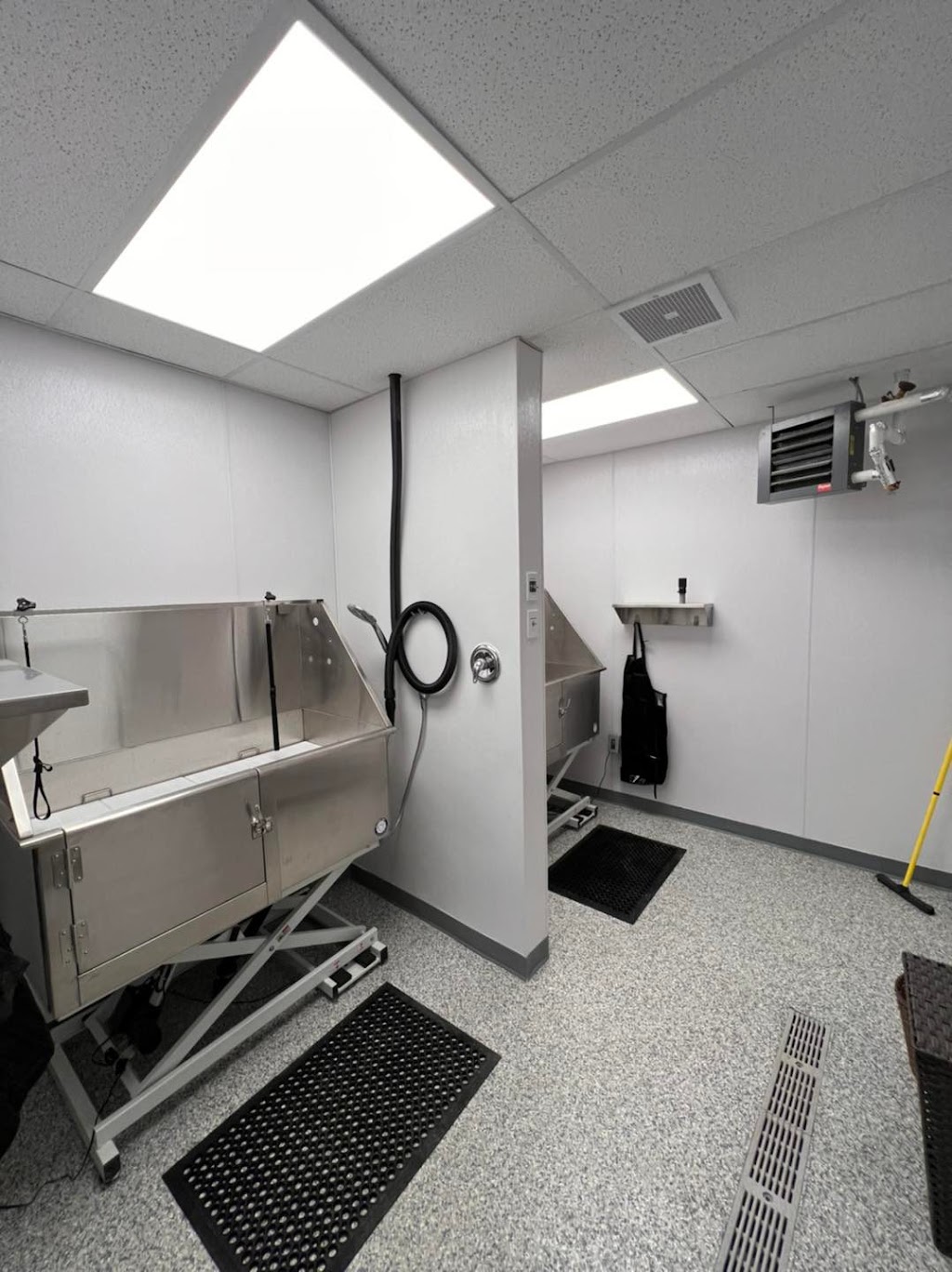 Spoiled Rotten Dog Daycare & Spa | 4125 Navan Rd, Navan, ON K4B 1H9, Canada | Phone: (613) 830-1999