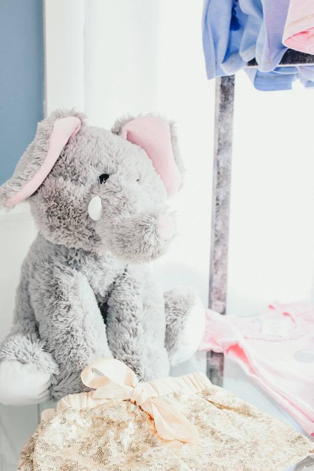 Peanut and Squeak Children’s Boutique | 6000 Goodrich Rd, Clarence Center, NY 14032, USA | Phone: (716) 406-2976