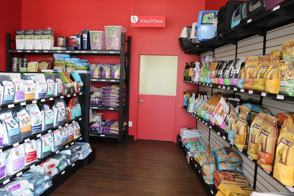 Animo Etc | 5259 Bd Laurier O, Saint-Hyacinthe, QC J2S 3V5, Canada | Phone: (450) 768-7728