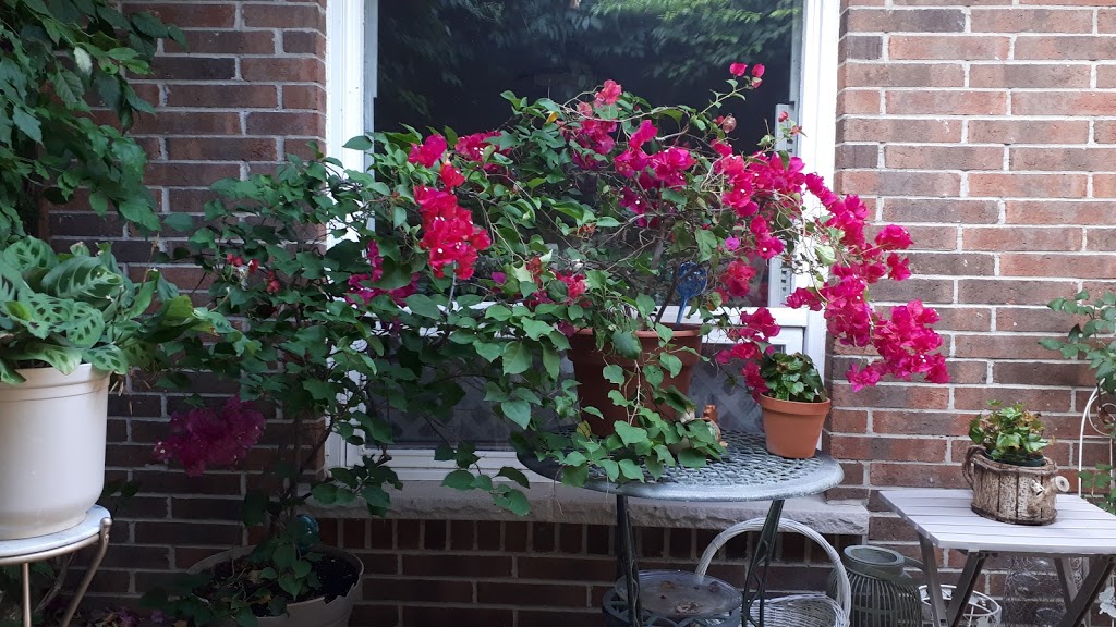 River Birch B&B | 17 Ziraldo Rd, St. Catharines, ON L2N 6S7, Canada | Phone: (905) 646-1617