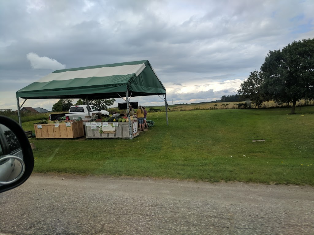 Shakespeare & District Optimist Hall | Thompson St, Shakespeare, ON N0B 2P0, Canada | Phone: (519) 625-8255