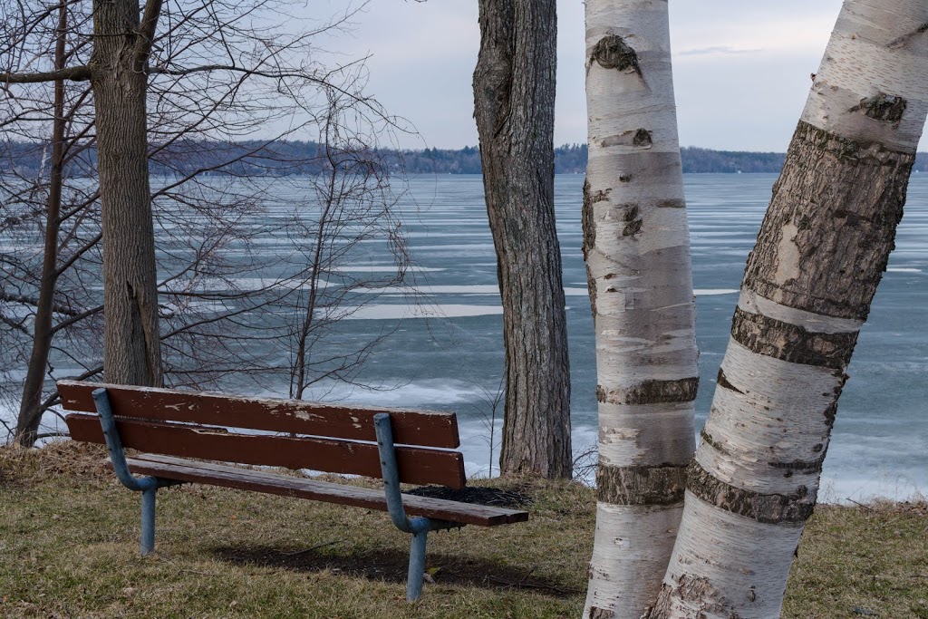 Tollendale Beach | 201 K Tynhead Rd, Barrie, ON L4N 7S7, Canada