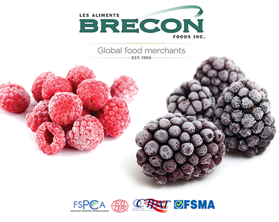 Brecon Food Inc | store | 189 Boul Hymus, Pointe-Claire, QC H9R 1E9, Canada | 5144268140 OR +1 514-426-8140