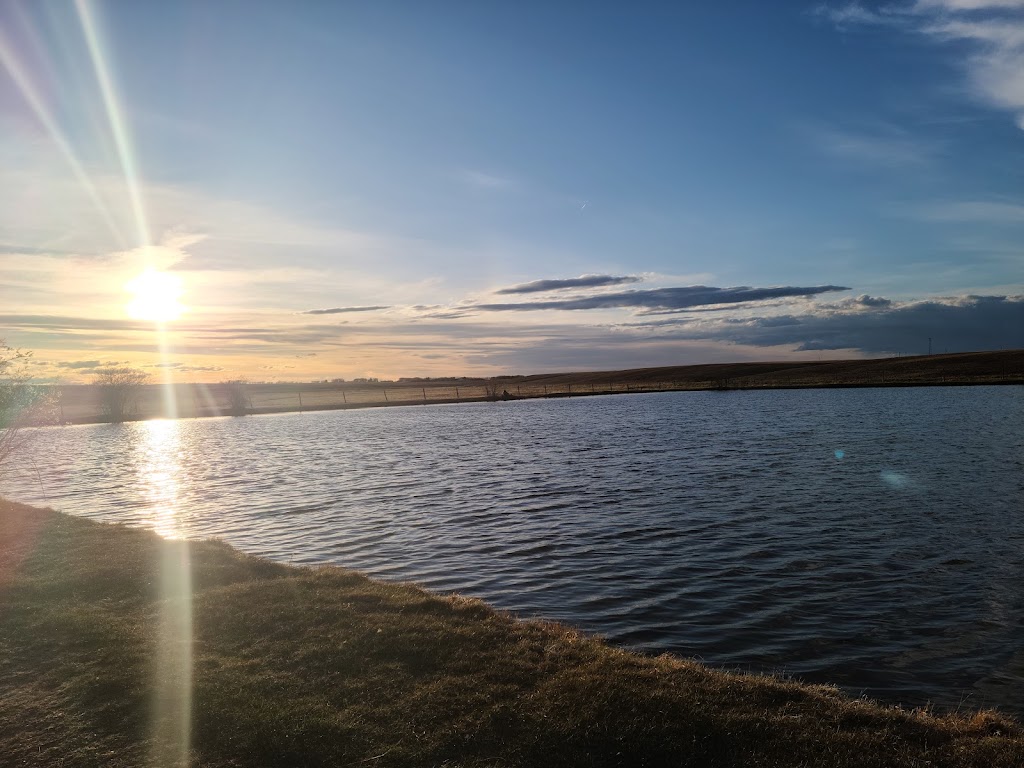 Crossfield Fish Pond | Fish Pond, Crossfield, AB T0M 0S0, Canada | Phone: (403) 555-1234