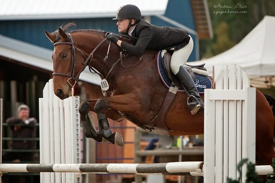 Topline Stables & Show Park | 151 60 St SE, Salmon Arm, BC V1E 1W4, Canada | Phone: (250) 833-2669