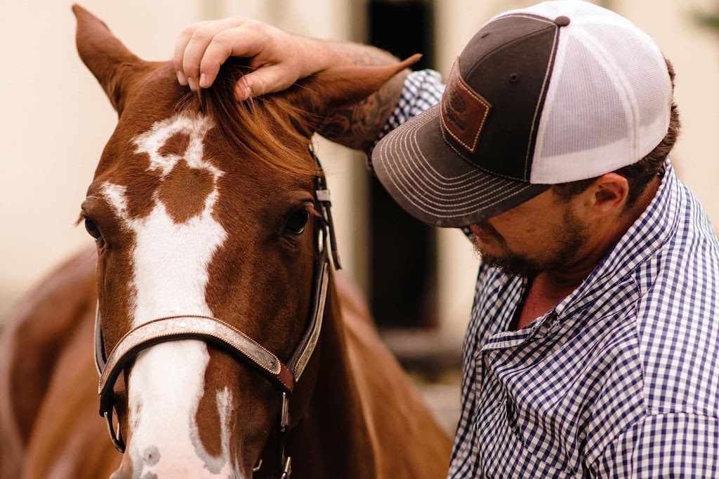 Kemp Equine Training | 49979 Camp River Rd, Chilliwack, BC V2P 6H4, Canada | Phone: (778) 933-2727