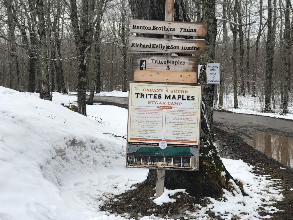 Trites Maples | 1278 Gorge Rd, Stilesville, NB E1G 3E6, Canada | Phone: (506) 384-4850