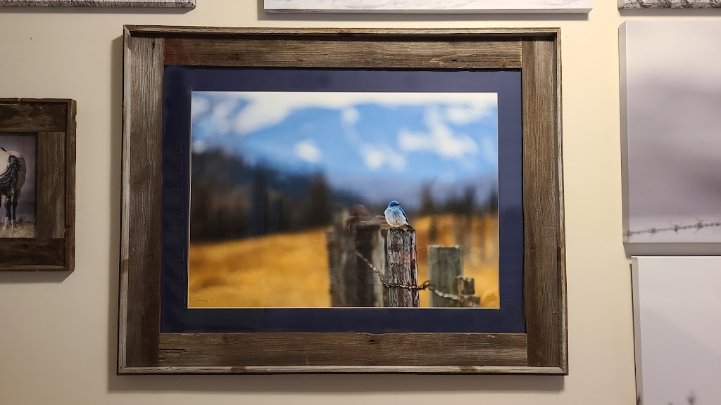 D. Dunning Fine Art Photography | 339 Willow Ridge Manor SW, Black Diamond, AB T0L 0H0, Canada | Phone: (403) 894-2635